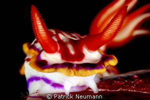 Devil horns by Patrick Neumann 